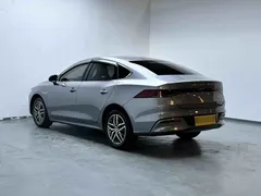 2024 BYD Qin PLUS Honor Edition EV 420km — фото 5