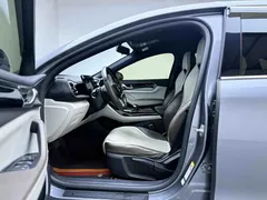 2024 BYD Qin PLUS Honor Edition EV 420km — фото 15