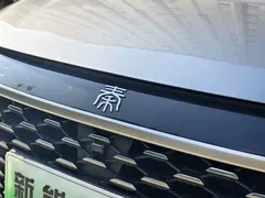 2025 BYD Qin PLUS DM-i PHEV Smart Driving 55km Leading — фото 14