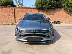 2023 BYD Destroyer 05 Champion DM-i PHEV 55km Luxury — фото 2