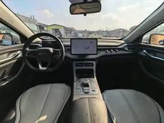 2023 BYD Destroyer 05 Champion DM-i PHEV 55km Luxury — фото 5