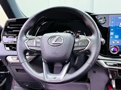 2023 Lexus RX 500h 4WD F SPORT Performance, чёрный — фото 10