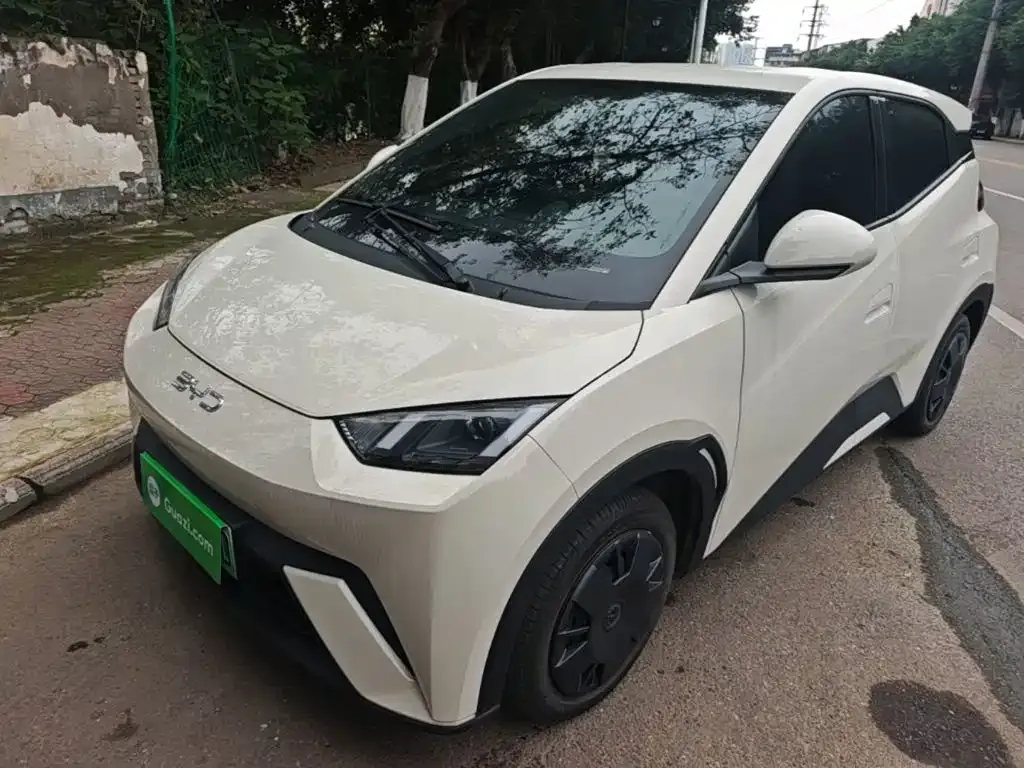 2025 BYD Seagull 305km Vitality