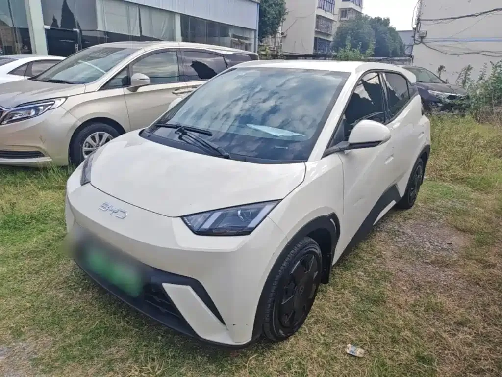 2024 BYD Seagull Honor 305km Vitality