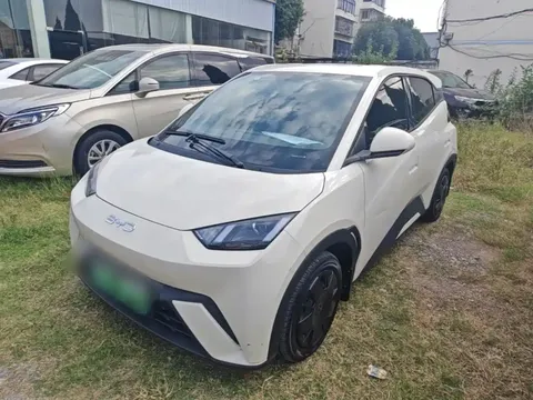 2024 BYD Seagull Honor 305km Vitality