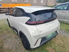 2024 BYD Seagull Honor 305km Vitality, белый — фото 5