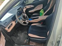 2024 BYD Seagull Honor 305km Vitality, белый — фото 15