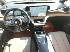 2025 BYD Dolphin 420km Freedom — фото 10