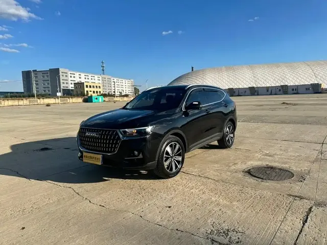 2023 Haval H6 1.5T AT Guochao Champion