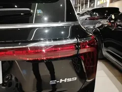 2021 Hongqi E-HS9 460km Qixiang 6-Seat, чёрный — фото 8