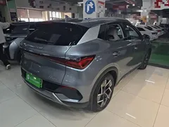2024 BYD Yuan PLUS EV 510km Honor Superior — фото 7