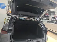 2024 BYD Yuan PLUS EV 510km Honor Superior — фото 19