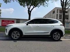 2022 Haval Chitu 1.5T, белый — фото 7