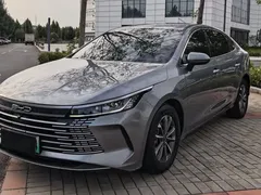 2023 BYD Destroyer 05 Champion DM-i PHEV 55km Luxury — фото 1