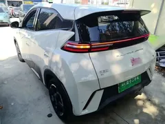 2024 BYD Seagull EV 305km Honor Freedom, белый — фото 5
