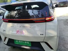 2024 BYD Seagull EV 305km Honor Freedom, белый — фото 6