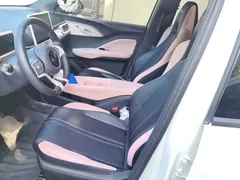 2024 BYD Seagull EV 305km Honor Freedom, белый — фото 15