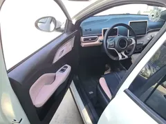 2024 BYD Seagull EV 305km Honor Freedom, белый — фото 16
