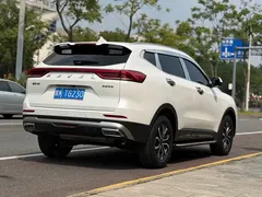 2021 Haval H6 1.5T AT Guochao Urban, белый — фото 4