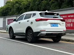 2021 Haval H6 1.5T AT Guochao Urban, белый — фото 6