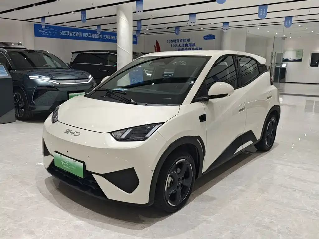 2025 BYD Seagull Smart Driving 305km Freedom