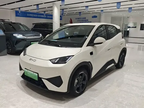 2025 BYD Seagull Smart Driving 305km Freedom