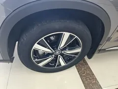 2022 BYD Song Pro DM-i PHEV 51km Premium — фото 23
