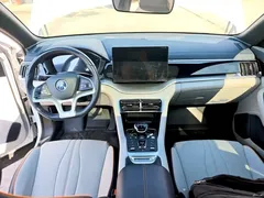 2021 BYD Song PLUS EV Premium, белый — фото 10