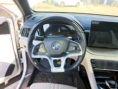 2021 BYD Song PLUS EV Premium, белый — фото 11
