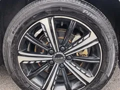 2024 BYD Destroyer 05 Honor DM-i PHEV 120km Premium — фото 14