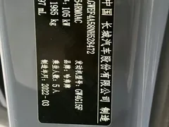 2023 Haval H6 1.5T AT Guochao Champion — фото 6