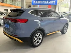 2023 Haval H6 1.5T AT Guochao Champion — фото 7