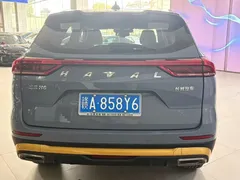 2023 Haval H6 1.5T AT Guochao Champion — фото 8