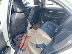 2021 Toyota Camry 2.5G Luxury, белый — фото 10