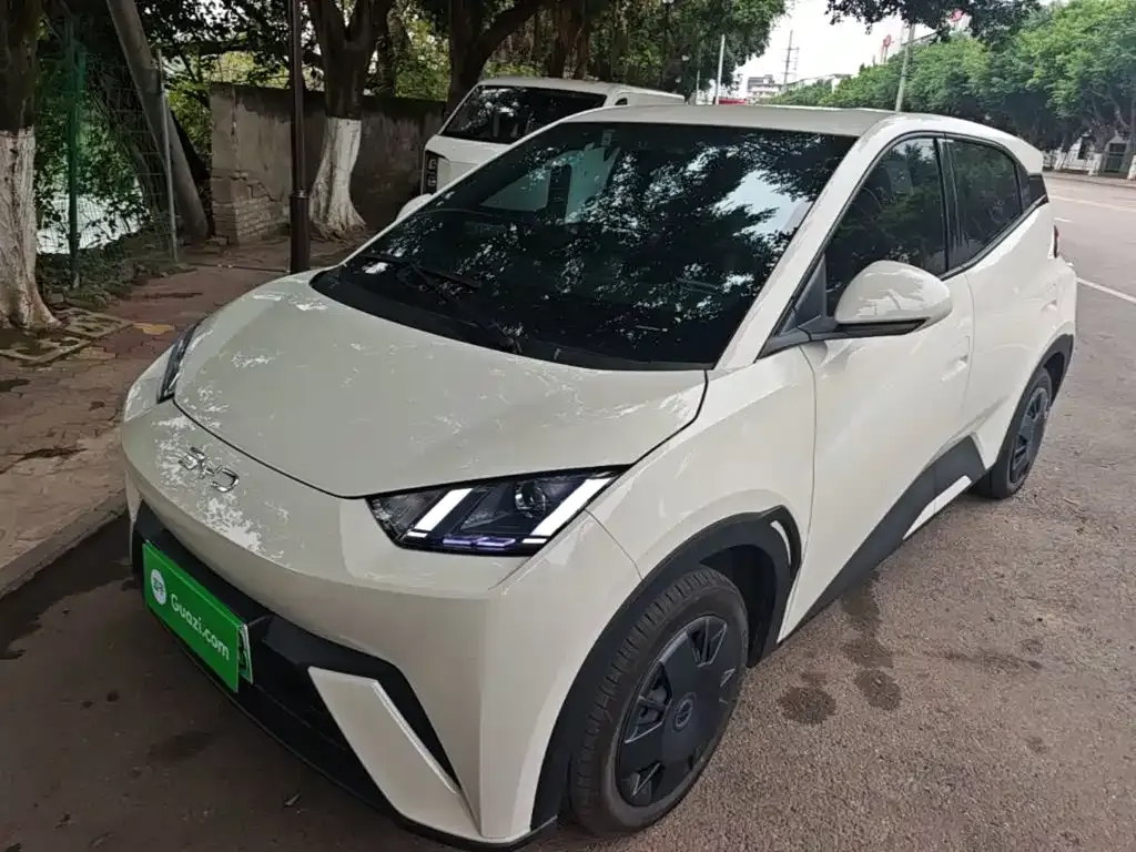 2025 BYD Seagull 305km Vitality
