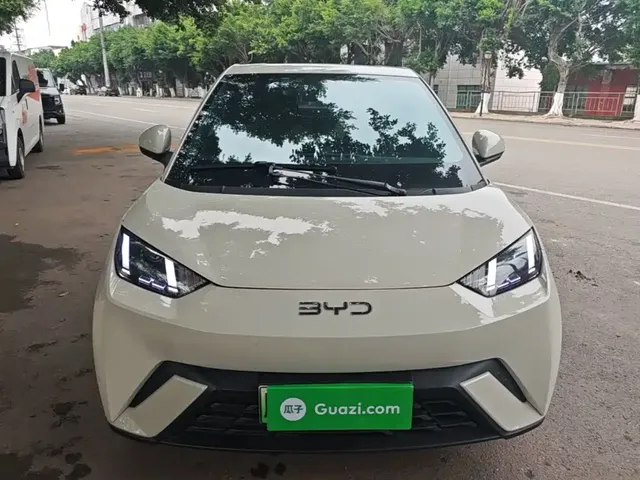 2025 BYD Seagull 305km Vitality