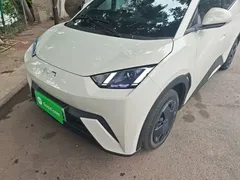 2025 BYD Seagull 305km Vitality, белый — фото 24
