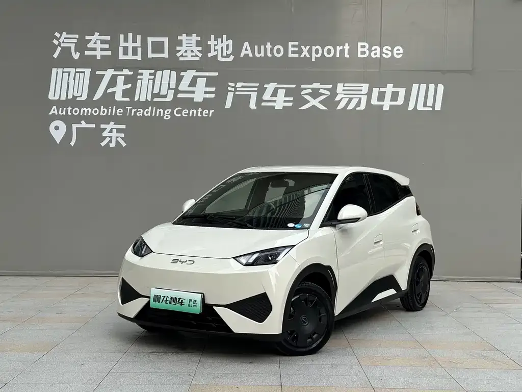 2025 BYD Seagull EV 305km