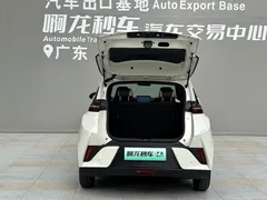 2025 BYD Seagull EV 305km, белый — фото 13