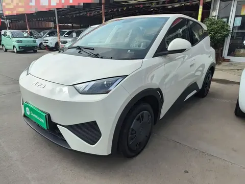 2025 BYD Seagull EV 305km