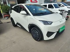 2025 BYD Seagull EV 305km, белый — фото 4