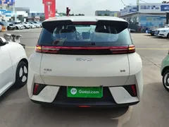 2025 BYD Seagull EV 305km, белый — фото 6