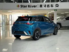 2021 BYD Dolphin 405km Fashion, синий — фото 5