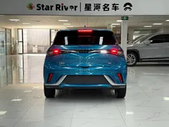 2021 BYD Dolphin 405km Fashion, синий — фото 6