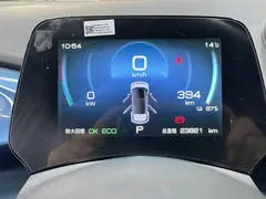 2021 BYD Dolphin 405km Fashion, синий — фото 13