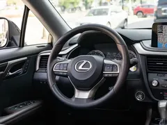 2021 Lexus RX 300 4WD Special Edition, чёрный — фото 14