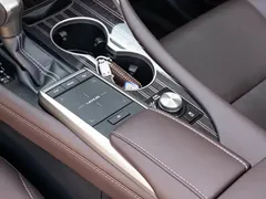 2021 Lexus RX 300 4WD Special Edition, чёрный — фото 17