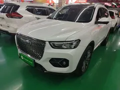 2021 Haval H6 1.5GDIT AT Champion, белый — фото 2