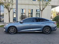 2024 BYD Seal PHEV 1.5L 121km Premium — фото 6