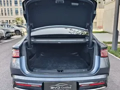 2024 BYD Seal PHEV 1.5L 121km Premium — фото 11